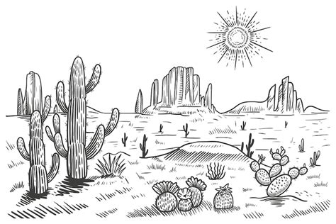 Premium Vector Desert Landscape Vector Illustration Hand Drawn