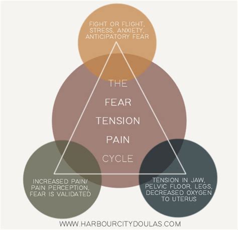 The Fear Tension Pain Cycle Harbour City Doulas