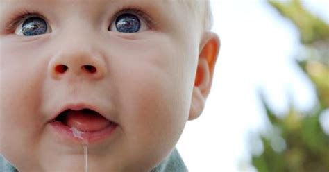 Drooling Excessive Saliva Flow In Babies Toddlers And Adults Saliva