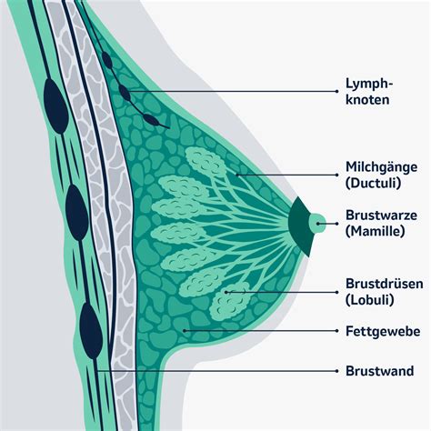 Diagnose Brustkrebs Was Nun Msd Gesundheit