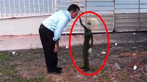 5 Aliens Caught On Camera And Spotted In Real Life 2 Aliens And Ufos