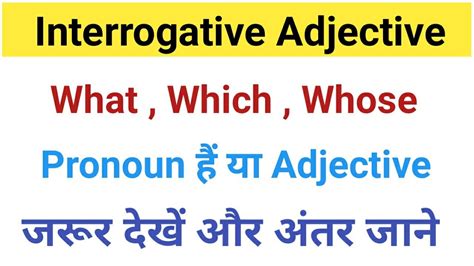 Interrogative Adjective Interrogative Adjective In English Grammar YouTube