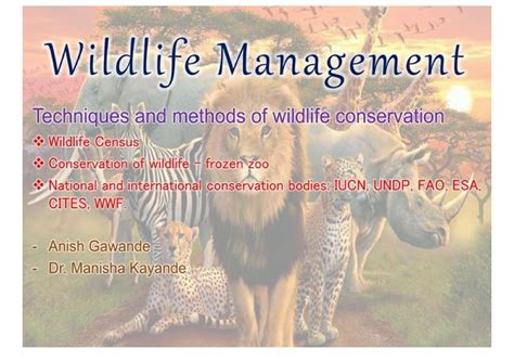 Wildlife Management Techniques And Methods Of Wildlife Conservation by