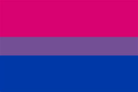 Bisexual Pride Flag Elmers Flag And Banner