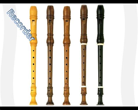 It is very popular in schools because it is easy to blow. Musical instruments