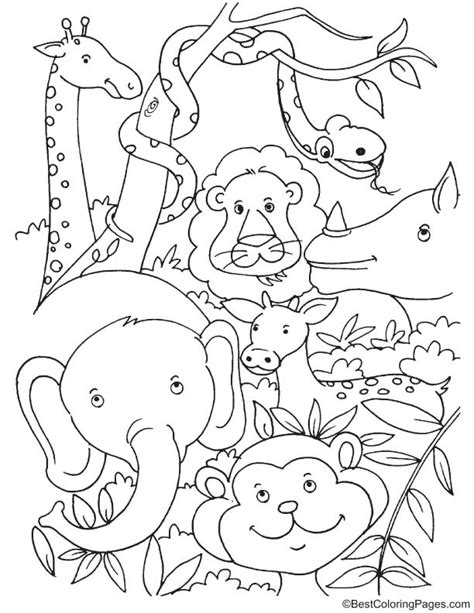 Colouring Pages Rainforest Animals Jungle Coloring Pages Coloring