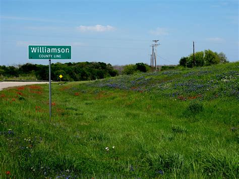 Williamson County Line Chickadee23 Flickr
