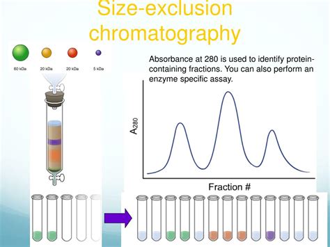 Analysis Of Proteins By Size Exclusion Chromatography Coupled With Mass