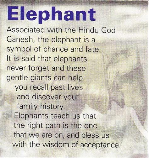 Elephant Spirit Guide Elephant Spirit Animal Elephant Quotes Elephant