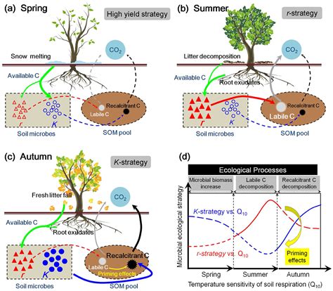 Underlying Microbial Mechanisms Driving Temperature Sensitivity Of Soil