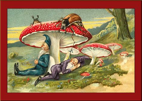 Vintage Elf Card Elves Asleep Under Mushrooms By Yesteryears Redbubble