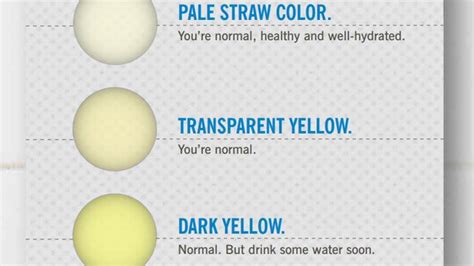 What Does The Color Of Your Pee Mean The Meaning Of Color