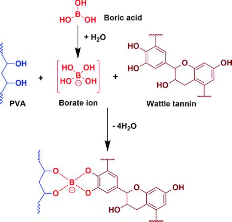 Possible Reaction Of Tannin And Pva With Boric Acid Download