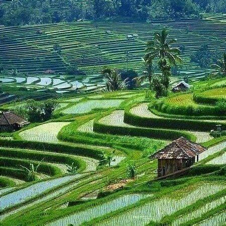 Bali Best Trips Indonesia Review Tripadvisor