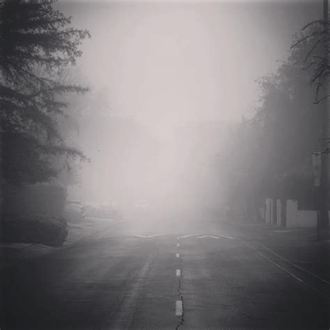 Foggy Morning 12 Via Instagram My Word With Douglas E Welch