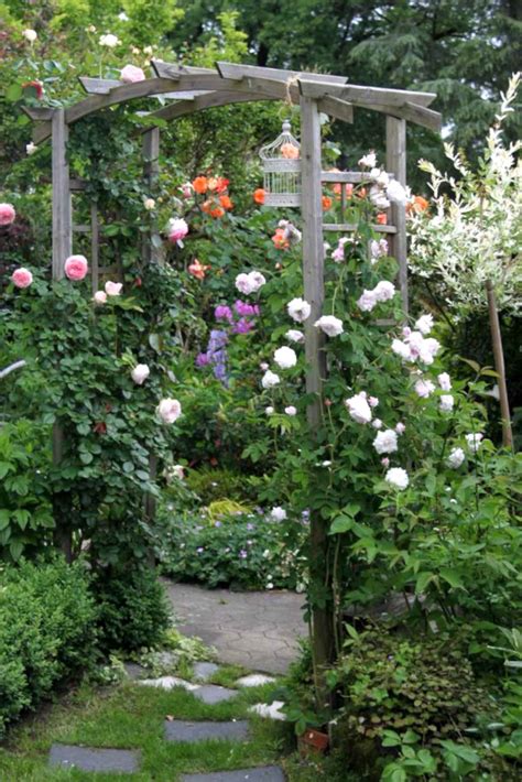 Arbors For Roses Climbing Roses Transcended By That Which Upholds Them