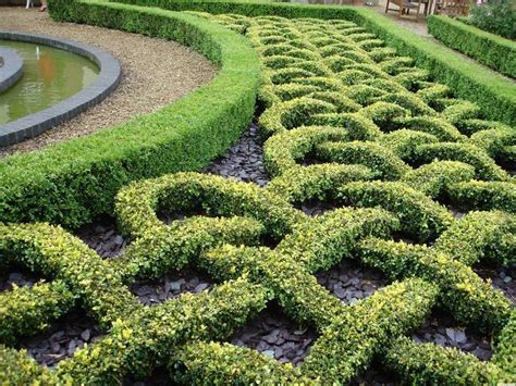 Example Of A Knot Garden At Highnam Court Gardens Gloucester England