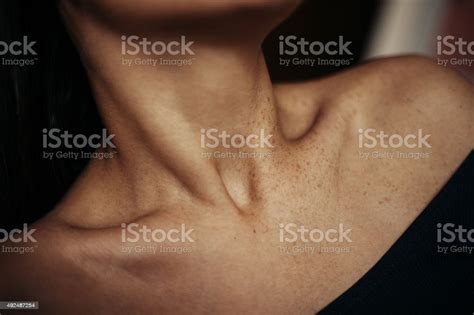 Open Shoulders And Beautiful Collarbones Stock Photo Download Image