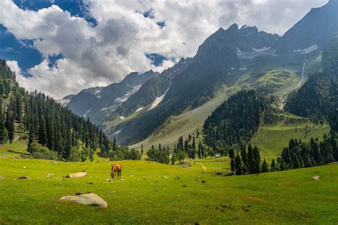 Srinagar Side Trips Top 8 Kashmir Valley Tourist Places