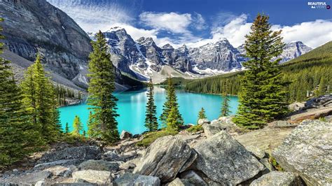 Viewes Alberta Lake Moraine Clouds Forest Canada Banff National
