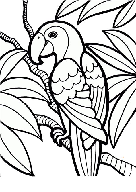 18 Parrot Coloring Pages Pet Birds Printable Pdf Print Color Craft
