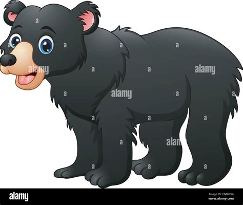Vector Illustration Of Honey Bear Cartoon Stock Vector Image And Art Alamy