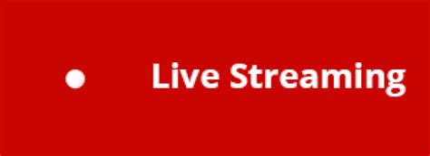 Live Streaming La Transmisión En Vivo Como Estrategia De Marketing