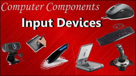 Input Devices Of Computer Examples And Purpose Youtube