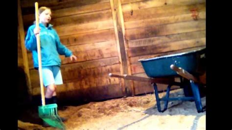 How To Clean A Horses Stall Fast And Easy Youtube