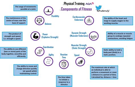 Pe Components Of Fitness Display Board Posters Gcse Physical Education