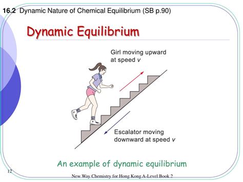 Ppt Dynamic Equilibrium Powerpoint Presentation Free Download Id