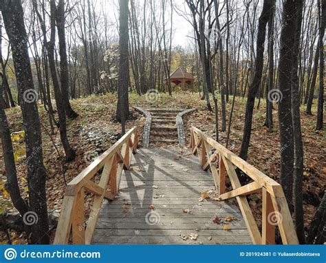 Wooden Bridge In The Autumn Forest Sunny Day Stock Image Image Of