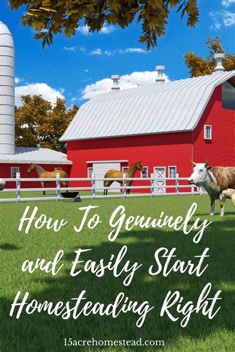 How To Genuinely And Easily Start Homesteading Right Homesteading