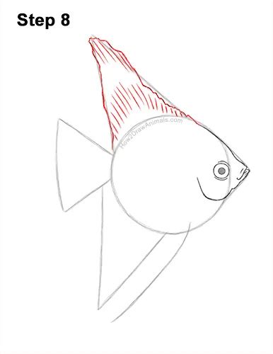 Draw An Altum Angelfish Fish 8 Angel Fish Draw Step By Step Drawing