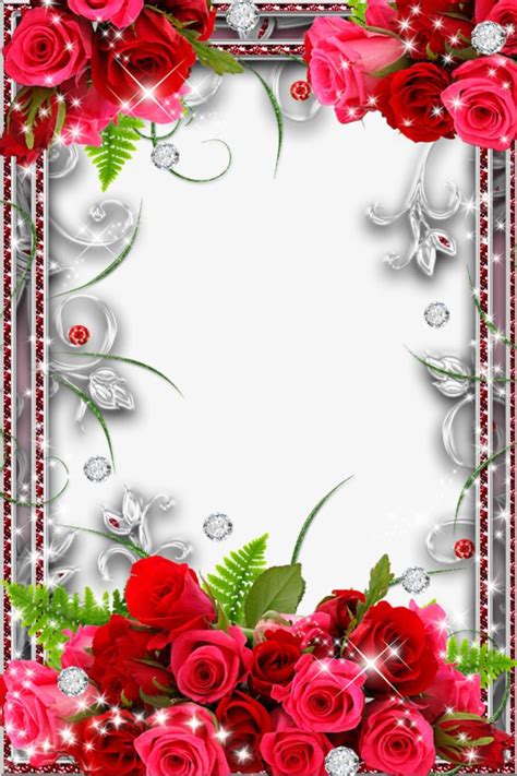 Rose Border Stock Photos | Flower frame, Flower phone wallpaper, Flower