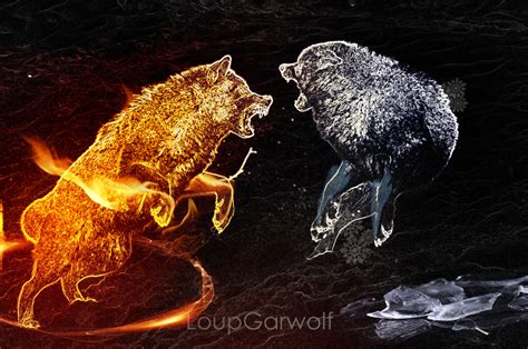 Fight Wolf Art Wolf World Anime Wolf