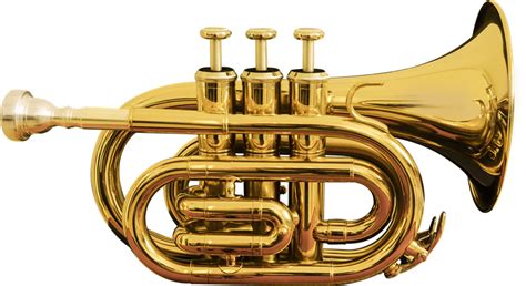Golden Cornet Png Clipart Png All Png All