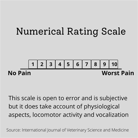 Types Of Pain Scales Used To Assess Acute Pain In Cats Gemepet