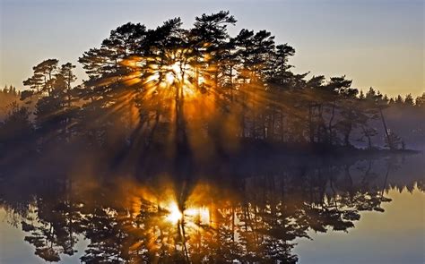 배경 화면 1230x768 Px 섬 호수 경치 안개 자연 반사 태양 광선 해돋이 스웨덴 나무 물