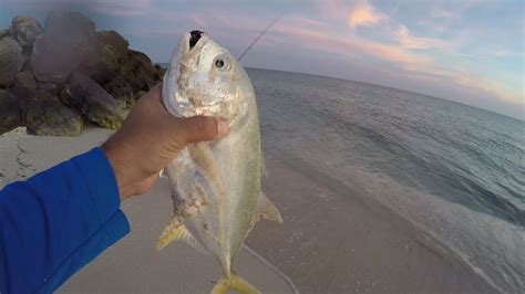 Pesca De Jureles En Chuburna Yucatan Youtube