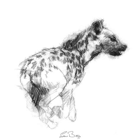 Hyena In 2020 Sketch A Day Hyena Fine Art Drawing