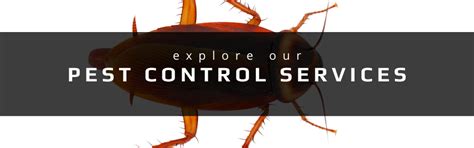 Bug busters termite & pest. Red Dirt Pest Control