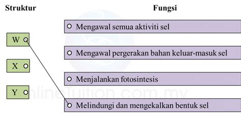 2)  teknologi adalah satu sains gunaan di mana ilmu sains itu digunakan bagi mencapai matlamat atau tujuan yang praktikal memelihara akal• syariat islam dengan tegas memutuskan untuk mengharamkan apa jua bentuk tindakan yang boleh merosakkan keturunan. 2.1.1 Apa itu Sel? (Soalan Subjektif) - Sains PT3