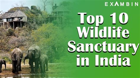 On The Political Map Of India Mark Wildlife Sanctuaries And Bird