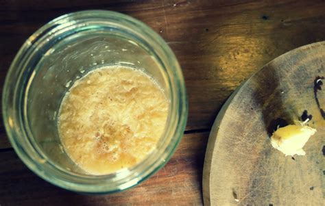 How To Make Ginger Bug For Your Homemade Sodas Body In Balance