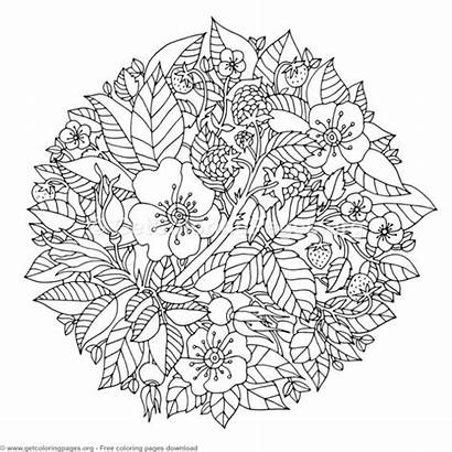 Coloring Mandala Pages Round Zentangle Getcoloringpages Flowers