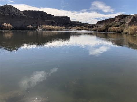 Las Vegas Wetlands Trail Closed Nevada Alltrails