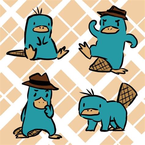 Collection Of Platypus Clipart Free Download Best Platypus Clipart On