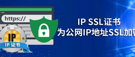 运维 如何免费申请公网 Ip 的 Ssl 证书 无需域名 好心人 Segmentfault 思否