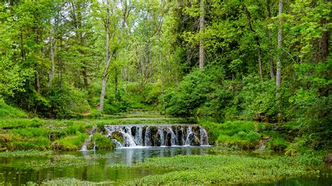 Waterfall In The Greenery Forest Pouring On Plants Covered River 4k Hd